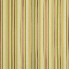 Robert Allen Carowinds Tulip 185789 Multipurpose Fabric