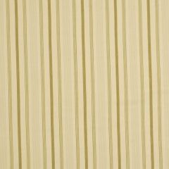 Robert Allen Martock Stripe Leek 185826 Multipurpose Fabric