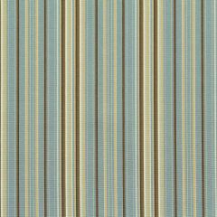 Robert Allen Allie Stripe Hydrangea Color Library Multipurpose Collection Indoor Upholstery Fabric