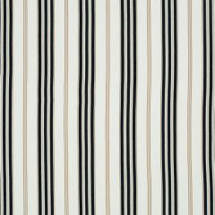 Robert Allen Cotter Wicker 185874 Multipurpose Fabric