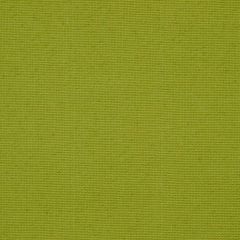 Robert Allen Ludwell Leaf Color Library Multipurpose Collection Indoor Upholstery Fabric