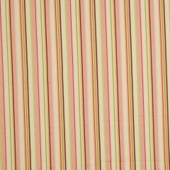 Robert Allen Stripe Along Tulip Color Library Multipurpose Collection Indoor Upholstery Fabric