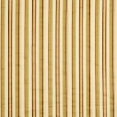 Robert Allen Stripe Along Zinnia 185904 Multipurpose Fabric