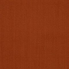 Robert Allen So Plain Zinnia 185906 Multipurpose Fabric