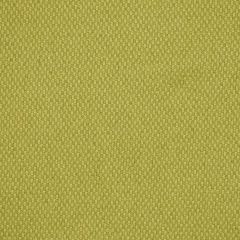 Robert Allen Kazbek Leaf Color Library Multipurpose Collection Indoor Upholstery Fabric