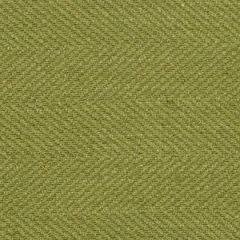 Robert Allen Bumpy Road Tarragon Color Library Multipurpose Collection Indoor Upholstery Fabric