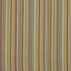 Robert Allen Joanelle Tulip 185974 Multipurpose Fabric
