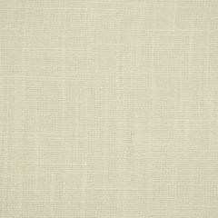 Robert Allen Arlington Cove Wicker 186018 Multipurpose Fabric