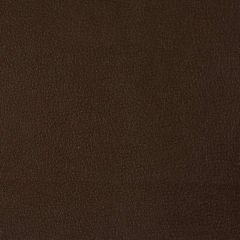 Kravet Smart Brown Berta 66 Indoor Upholstery Fabric