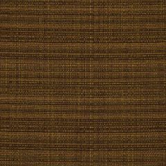 Robert Allen Beach Mats Tan Essentials Collection Indoor Upholstery Fabric