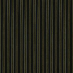 Robert Allen Contract Eco Balance Ink 189685 Indoor Upholstery Fabric