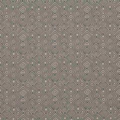 Robert Allen Asha Mineral 217518 Dwell Collection Multipurpose Fabric