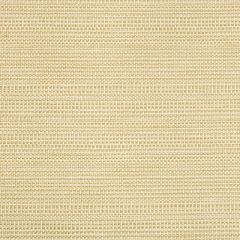 Kravet Smart Tan 34627-16 Crypton Home Collection Indoor Upholstery Fabric