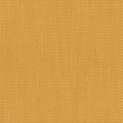 Perennials Rough 'n Rowdy Topaz 955-255 Beyond the Bend Collection Upholstery Fabric