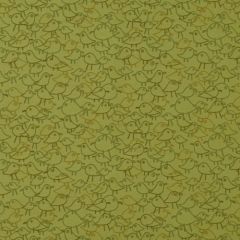 Robert Allen Contract Chatting Chicks Honeydew 190044 Indoor Upholstery Fabric