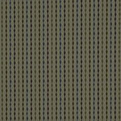 Robert Allen Contract Rinomato Graphite Indoor Upholstery Fabric