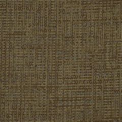 Robert Allen Alpha Weave Vapor 190855 Indoor Upholstery Fabric