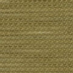 Robert Allen Right Combo Jade 190996 Indoor Upholstery Fabric