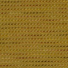 Robert Allen Right Combo Hay Essentials Collection Indoor Upholstery Fabric