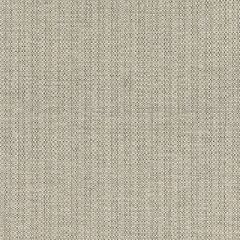 Scalamandre Tahiti Tweed Stone SC 000527192 Isola Collection Upholstery Fabric