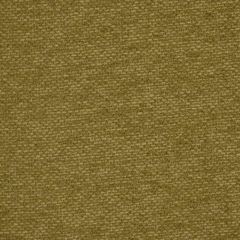 Robert Allen Warm Colors Pebble Essentials Collection Indoor Upholstery Fabric