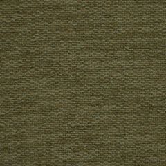 Robert Allen Warm Colors Jade 192957 Indoor Upholstery Fabric