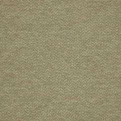 Robert Allen Warm Colors Sterling Essentials Collection Indoor Upholstery Fabric