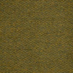 Robert Allen Warm Colors Shoreline Essentials Collection Indoor Upholstery Fabric