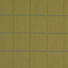 Beacon Hill Wood Avens Meadow Silk Collection Indoor Upholstery Fabric