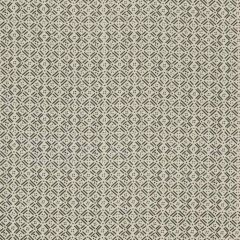 Threads Aslin Charcoal Moro Collection Drapery Fabric