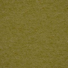 Robert Allen Killian Lemongrass 193004 Indoor Upholstery Fabric