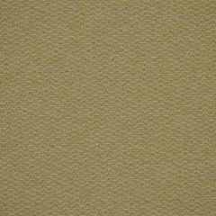 Robert Allen Killian Twine Essentials Collection Indoor Upholstery Fabric