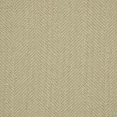 Robert Allen Orvis Orchid Essentials Collection Indoor Upholstery Fabric