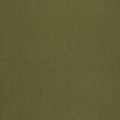 Robert Allen Milan Solid Grass 234850 Drapeable Linen Collection Multipurpose Fabric