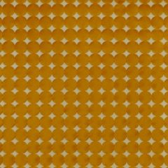 Robert Allen Cuff Links Tangerine 193193 by Larry Laslo Drapery Fabric