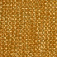Robert Allen Aventura Tangerine Essentials Collection Indoor Upholstery Fabric