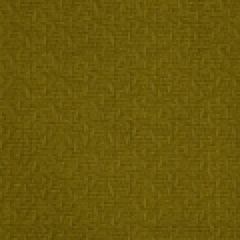 Robert Allen Mar A Lago Lemon Curry 193254 by Larry Laslo Indoor Upholstery Fabric