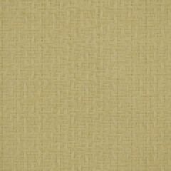 Robert Allen Mar A Lago Stucco 193256 by Larry Laslo Indoor Upholstery Fabric