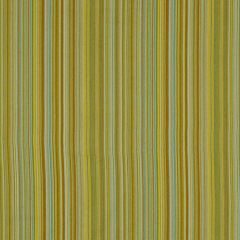 Robert Allen New Riviera Aquatic Essentials Collection Indoor Upholstery Fabric