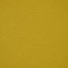 Robert Allen Canvas Duck Chamois Home Upholstery Collection Indoor Upholstery Fabric