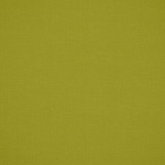 Robert Allen Canvas Duck Leaf Home Upholstery Collection Indoor Upholstery Fabric