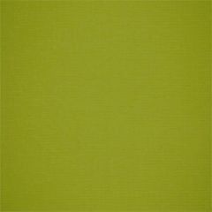 Robert Allen Living Simply Leaf Home Upholstery Collection Indoor Upholstery Fabric
