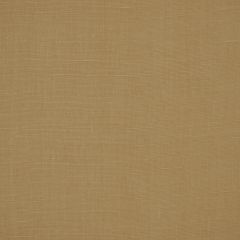 Robert Allen Kilrush Cameo Essentials Multi Purpose Collection Indoor Upholstery Fabric