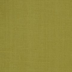 Robert Allen Kilrush Peridot Essentials Multi Purpose Collection Indoor Upholstery Fabric