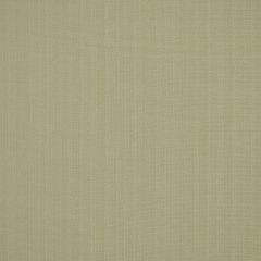 Robert Allen Botkier Cream Essentials Multi Purpose Collection Indoor Upholstery Fabric