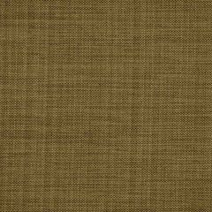 Robert Allen Botkier Ash Essentials Multi Purpose Collection Indoor Upholstery Fabric