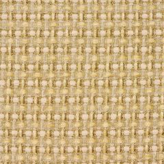 Beacon Hill Chunky Check Yellow Lotus Color Library Collection Indoor Upholstery Fabric