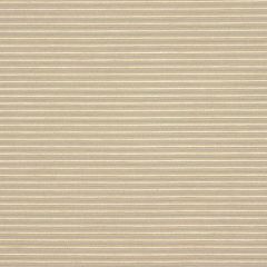 Beacon Hill Lines Away Ice 194122 Indoor Upholstery Fabric