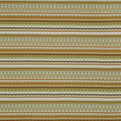 Robert Allen Contract Donaria Verde 194165 Indoor Upholstery Fabric