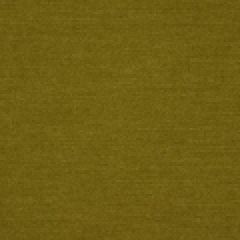 Robert Allen Contract Soft Pallet Avocado 194240 Indoor Upholstery Fabric